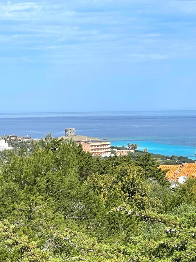 Casa Vacanze Stintino Vista Mare Екстер'єр фото